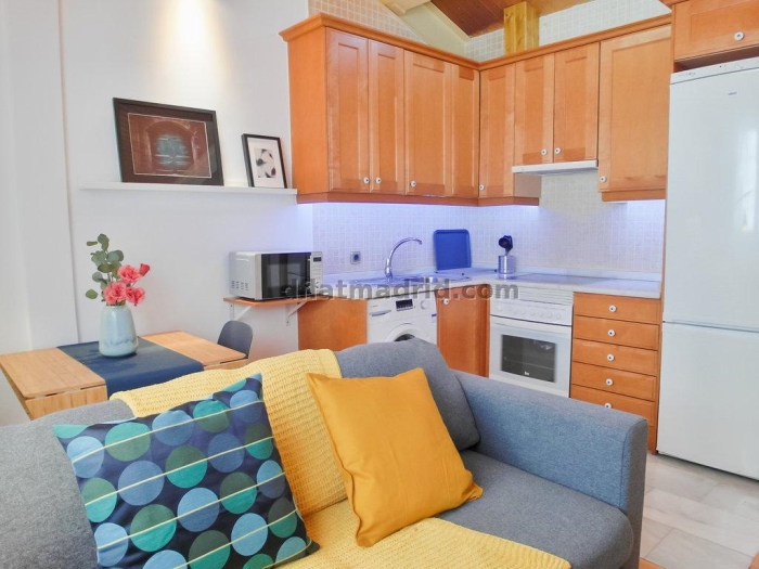 Apartamento Tranquilo en Chamartin de 1 Dormitorio #1789 en Madrid