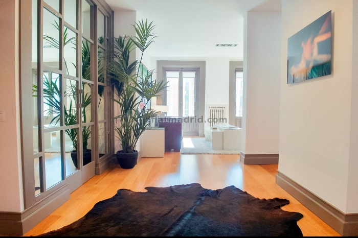 Central Apartment in Salamanca of 3 Bedrooms #1799 in Madrid