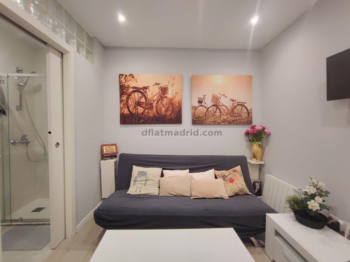 Apartamento Tranquilo en Centro de 1 Dormitorio #1812 en Madrid