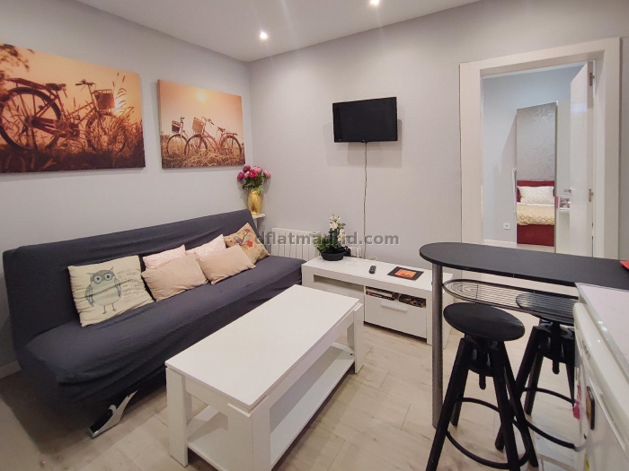 Apartamento Tranquilo en Centro de 1 Dormitorio #1812 en Madrid