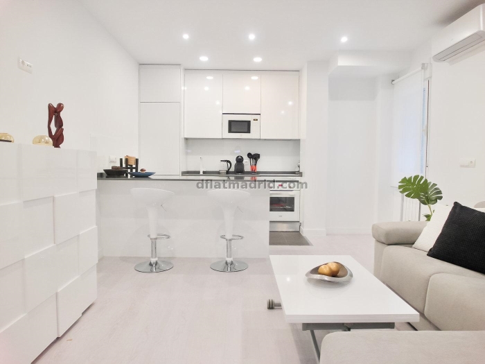 Apartamento Luminoso en Chamartin de 1 Dormitorio #1827 en Madrid