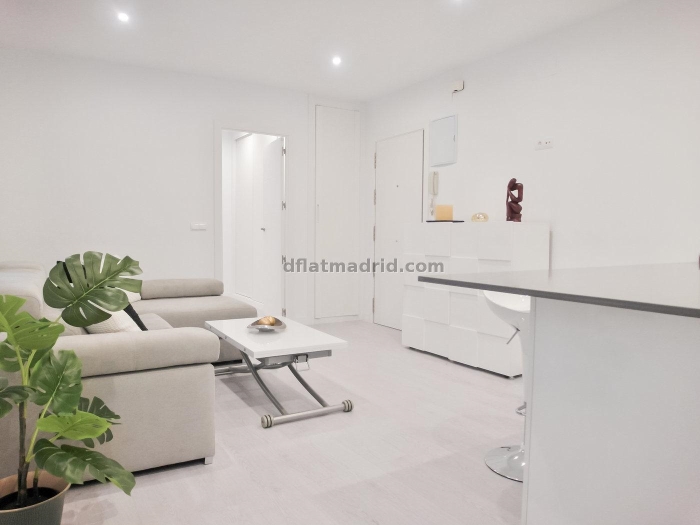 Apartamento Luminoso en Chamartin de 1 Dormitorio #1827 en Madrid