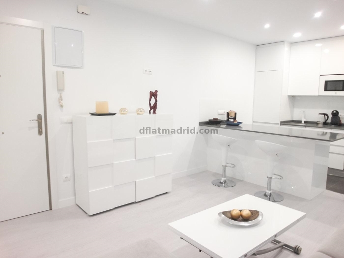 Apartamento Luminoso en Chamartin de 1 Dormitorio #1827 en Madrid