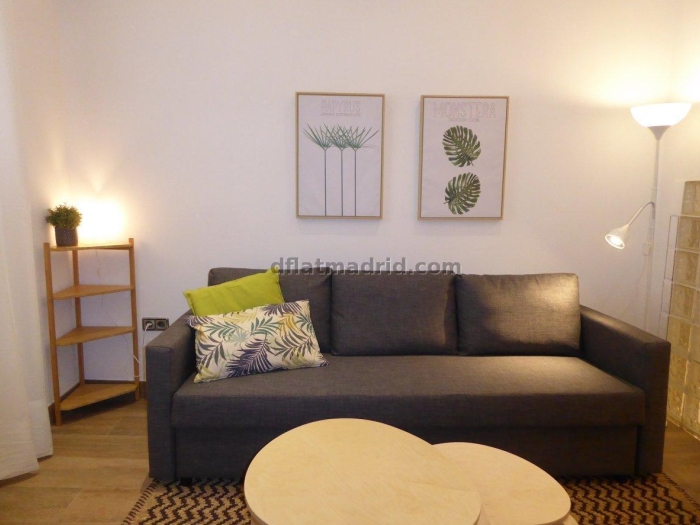 Apartamento Tranquilo en Chamartin de 1 Dormitorio #1804 en Madrid