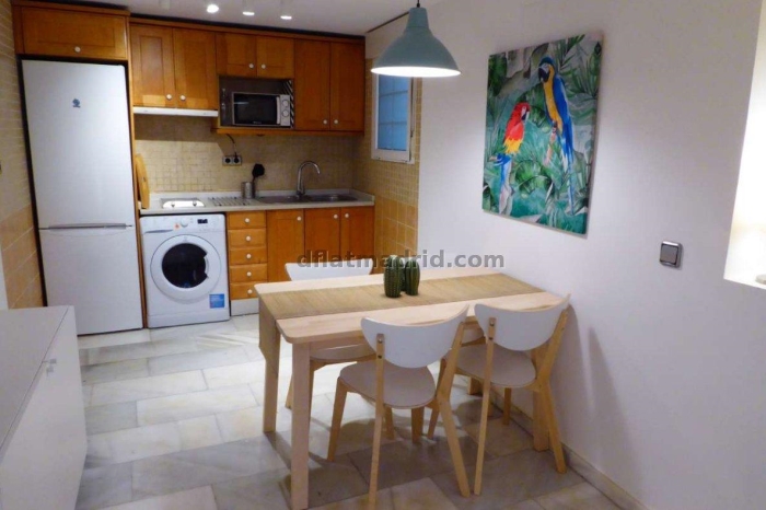 Apartamento Tranquilo en Chamartin de 1 Dormitorio #1804 en Madrid