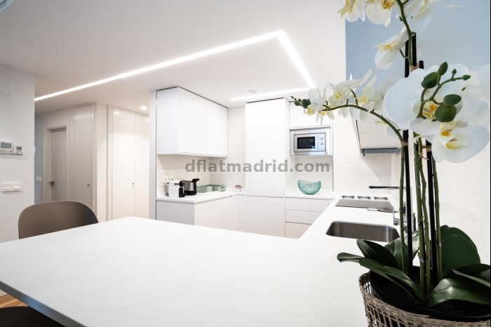 Central Apartment in Salamanca of 2 Bedrooms #1840 in Madrid