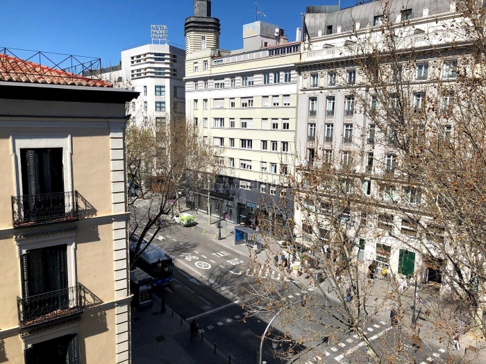 Apartamento Luminoso en Centro de 1 Dormitorio #1845 en Madrid