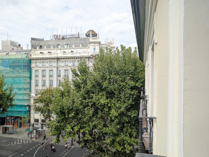 Bright Apartment in Centro of 1 Bedroom #1846 in Madrid