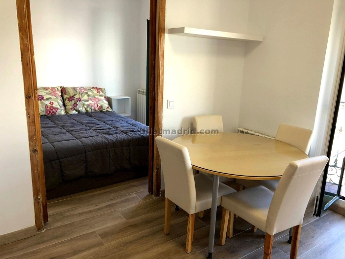 Apartamento Luminoso en Centro de 1 Dormitorio #1846 en Madrid