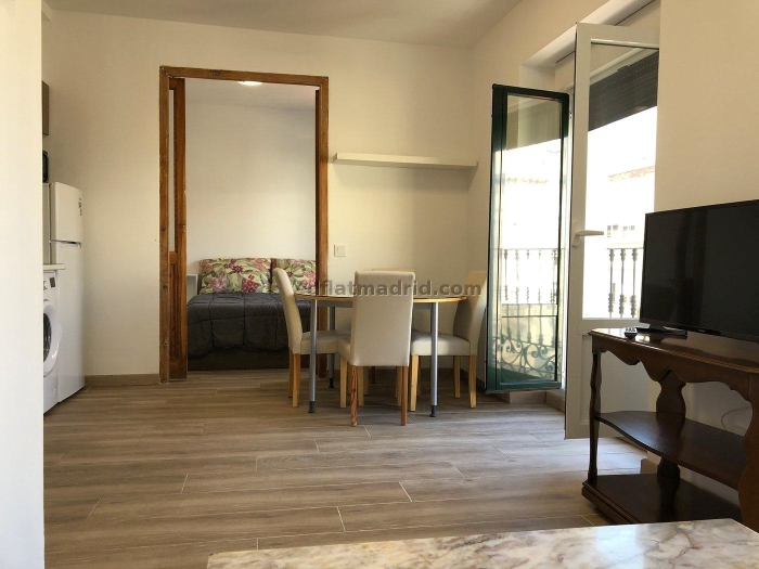 Bright Apartment in Centro of 1 Bedroom #1846 in Madrid