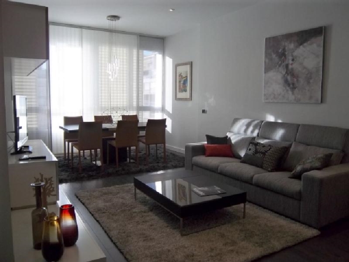 Apartamento Luminoso en Chamartin de 1 Dormitorio #728 en Madrid