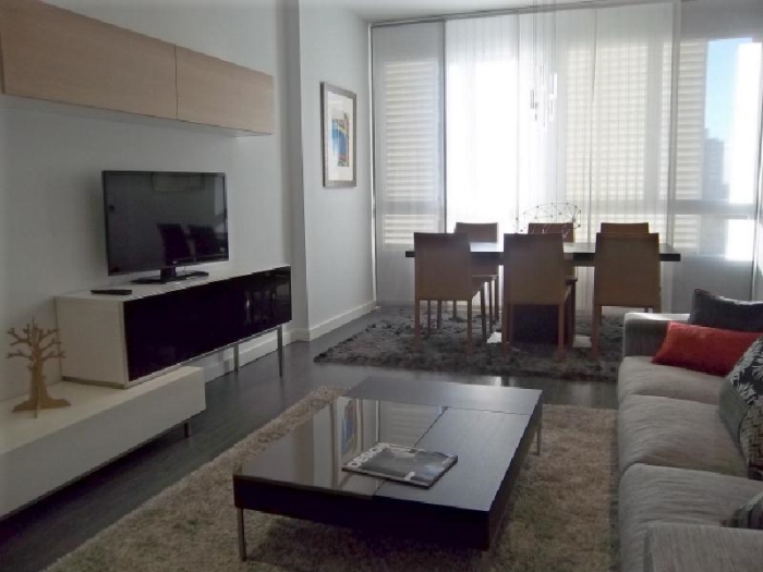 Apartamento Luminoso en Chamartin de 1 Dormitorio #728 en Madrid