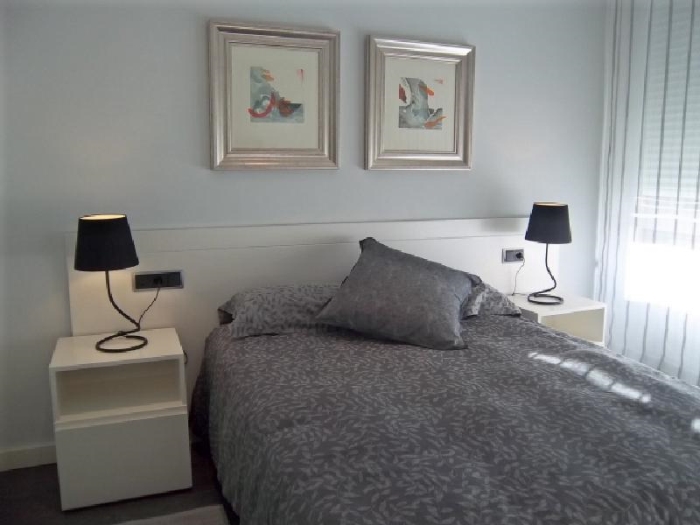 Apartamento Luminoso en Chamartin de 1 Dormitorio #728 en Madrid