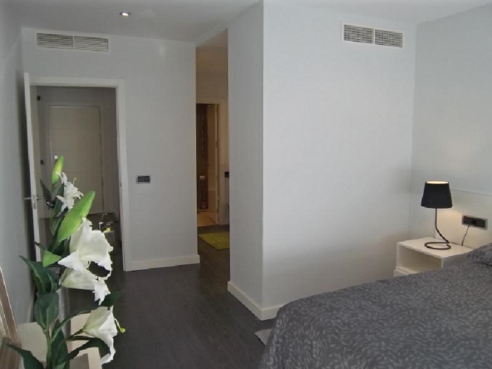 Apartamento Luminoso en Chamartin de 1 Dormitorio #728 en Madrid