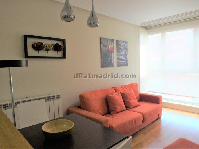 Apartamento Luminoso en Chamartin de 1 Dormitorio #1848 en Madrid