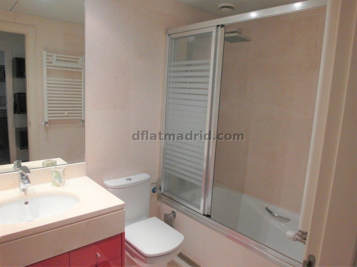 Apartamento Luminoso en Chamartin de 1 Dormitorio #1848 en Madrid