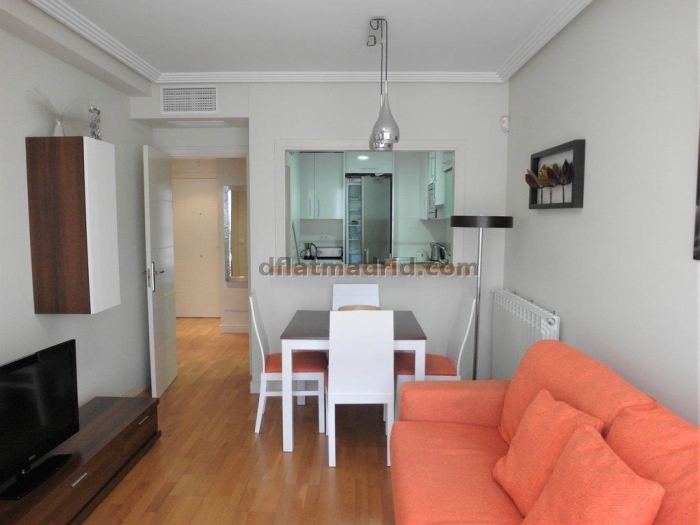 Apartamento Luminoso en Chamartin de 1 Dormitorio #1848 en Madrid