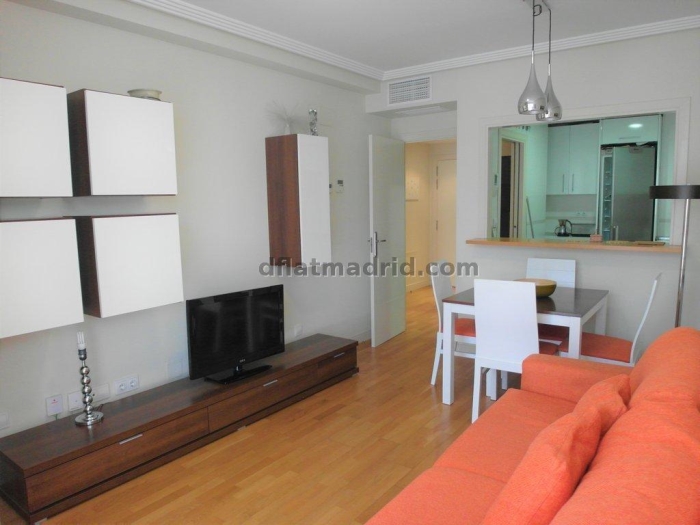 Apartamento Luminoso en Chamartin de 1 Dormitorio #1848 en Madrid