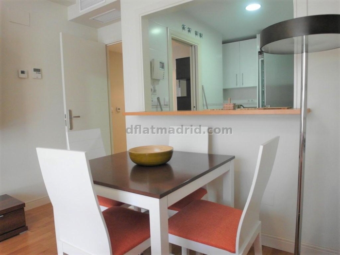 Apartamento Luminoso en Chamartin de 1 Dormitorio #1848 en Madrid