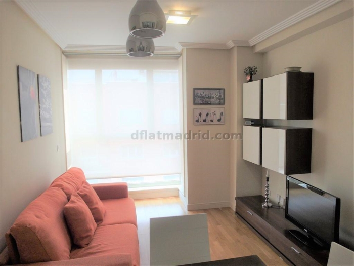 Apartamento Luminoso en Chamartin de 1 Dormitorio #1848 en Madrid