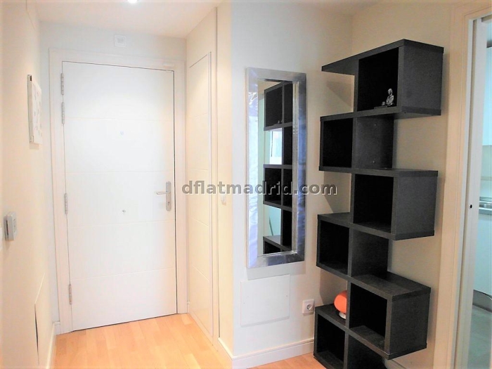 Apartamento Luminoso en Chamartin de 1 Dormitorio #1848 en Madrid