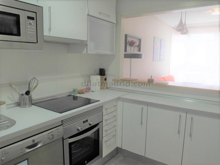 Apartamento Luminoso en Chamartin de 1 Dormitorio #1848 en Madrid