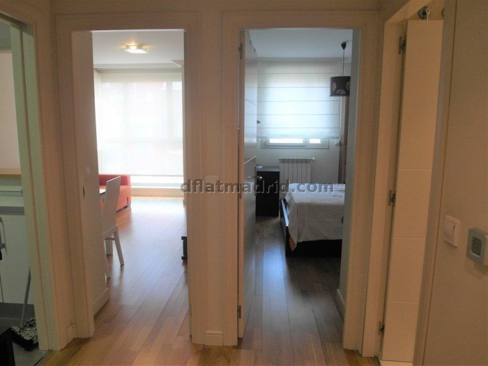 Apartamento Luminoso en Chamartin de 1 Dormitorio #1848 en Madrid