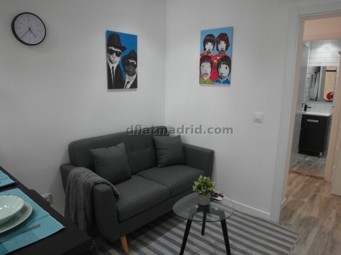 Apartamento Luminoso en Chamartin de 1 Dormitorio #1851 en Madrid