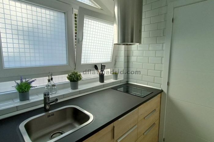 Apartamento Luminoso en Chamartin de 1 Dormitorio #1852 en Madrid