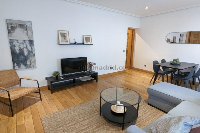 Spacious Apartment in Chamartin of 2 Bedrooms #1853 in Madrid