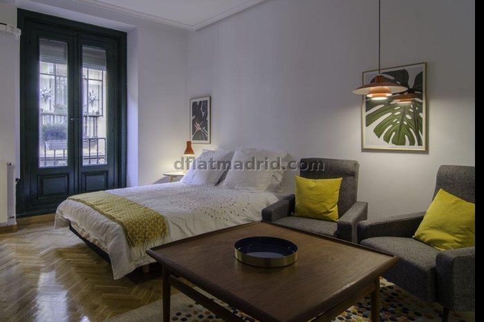 Studio in Centro #1855 in Madrid