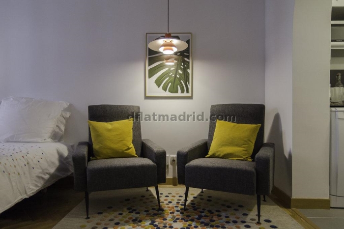 Studio in Centro #1855 in Madrid