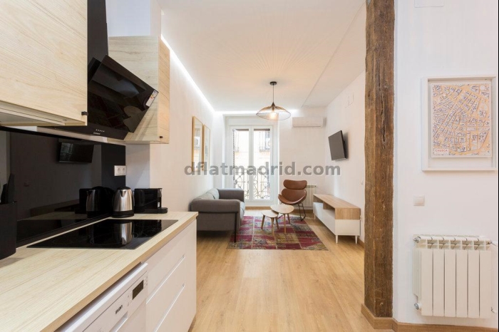 Apartamento en Centro de 1 Dormitorio #1858 en Madrid