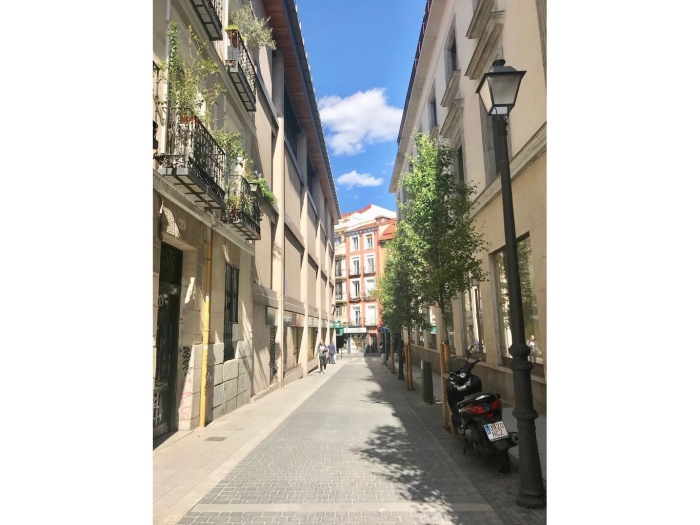 Apartamento en Centro de 1 Dormitorio #1860 en Madrid