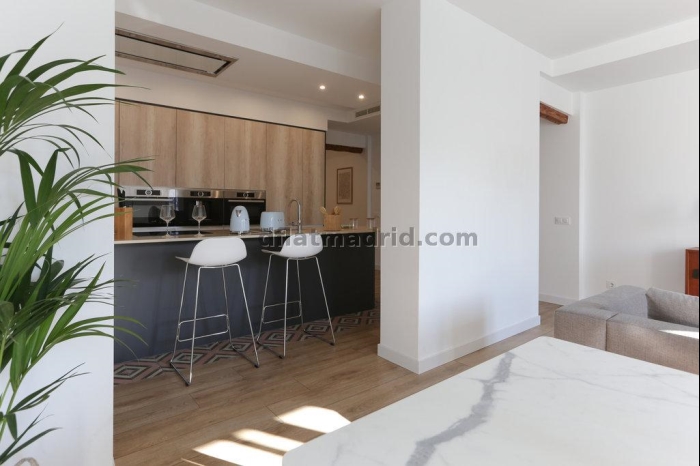 Apartment in Centro of 2 Bedrooms #1861 in Madrid