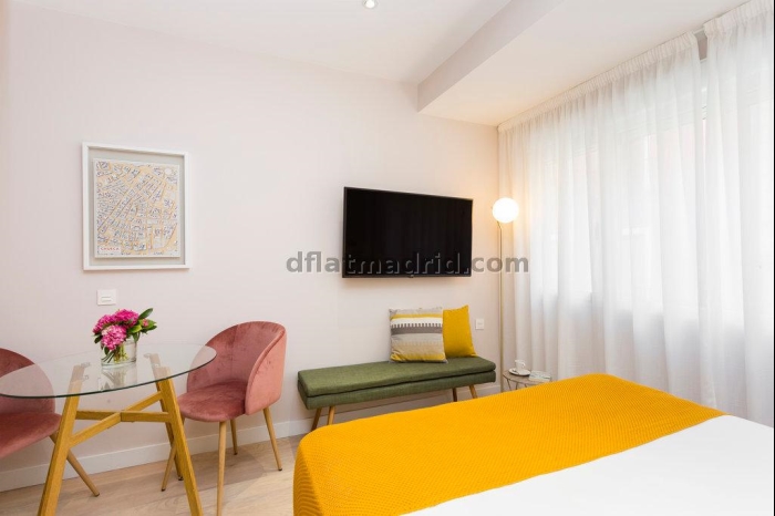 Studio in Centro #1862 in Madrid