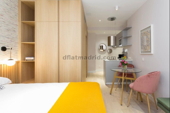 Studio in Centro #1862 in Madrid