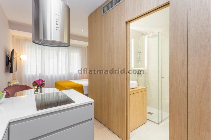 Studio in Centro #1862 in Madrid