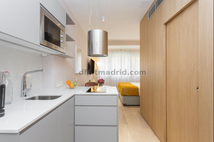 Studio in Centro #1862 in Madrid