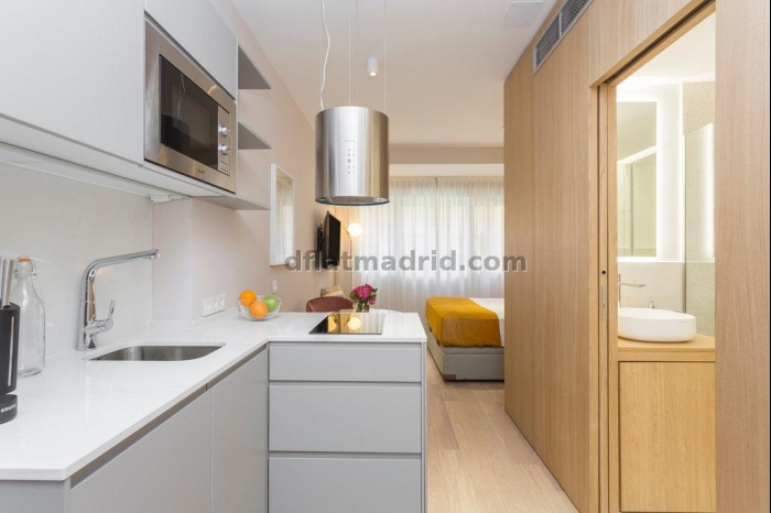 Studio in Centro #1862 in Madrid