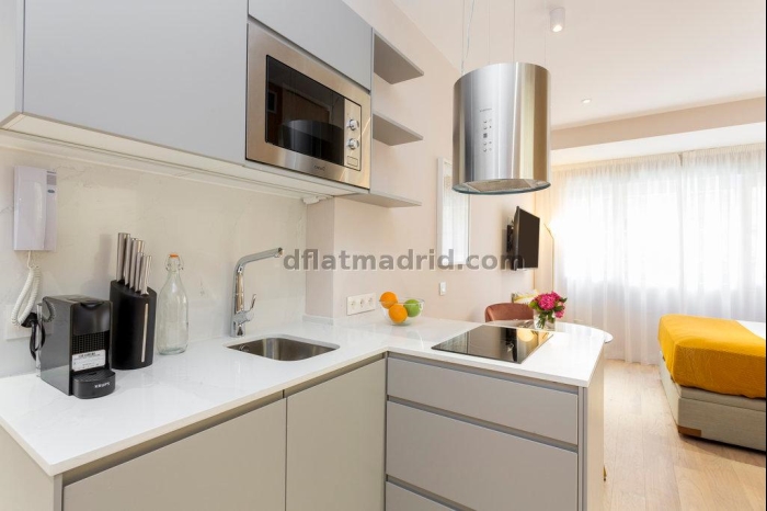 Studio in Centro #1862 in Madrid