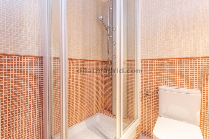 Apartment in Centro of 0 Bedroom #1864 in Madrid