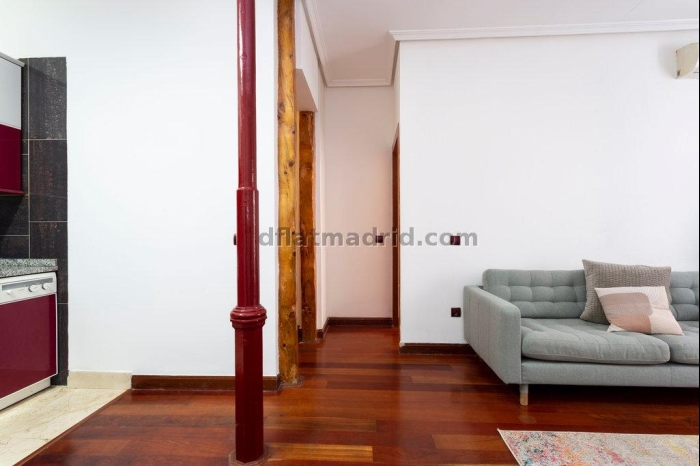 Apartment in Centro of 0 Bedroom #1864 in Madrid