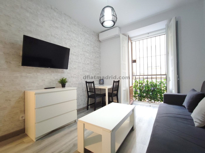 Apartamento Luminoso en Centro de 1 Dormitorio #1868 en Madrid