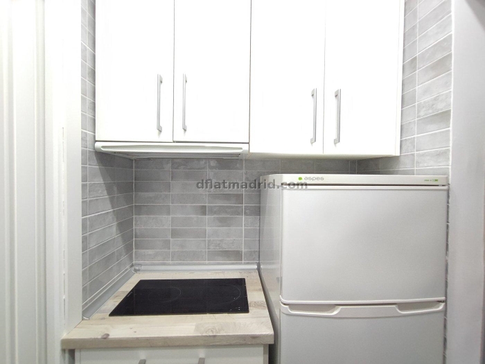 Bright Apartment in Centro of 1 Bedroom #1868 in Madrid