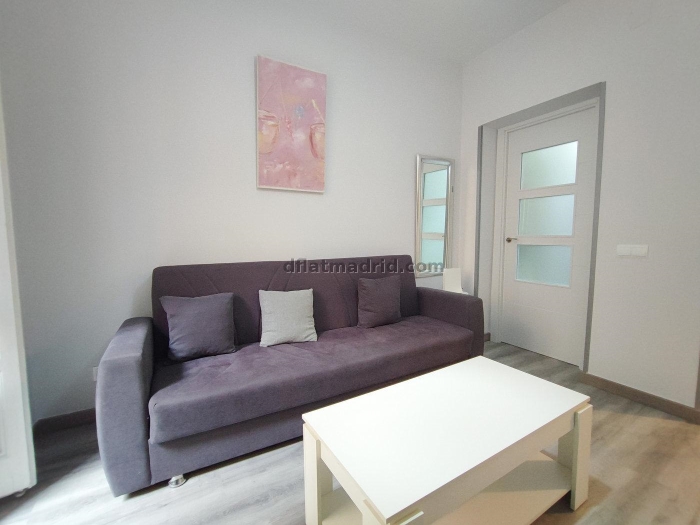 Apartamento Luminoso en Centro de 1 Dormitorio #1868 en Madrid