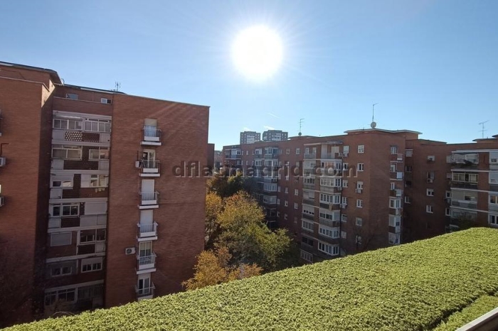 Apartamento Amplio en Moratalaz de 3 Dormitorios con terraza #1869 en Madrid