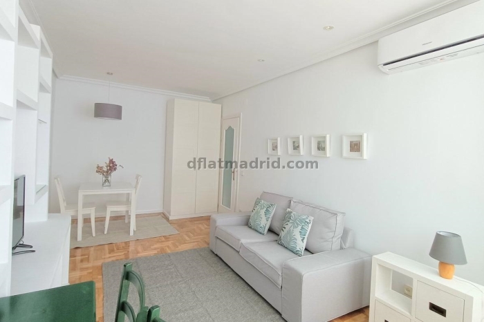 Apartamento Céntrico en Salamanca de 1 Dormitorio #1877 en Madrid