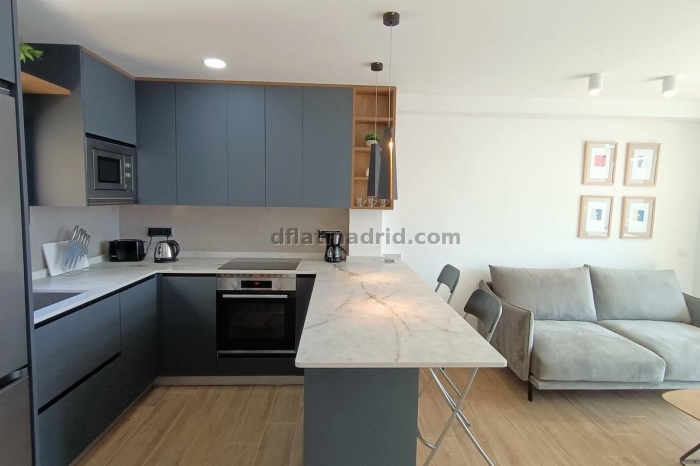 Penthouse in Chamartin of 1 Bedroom #1879 in Madrid