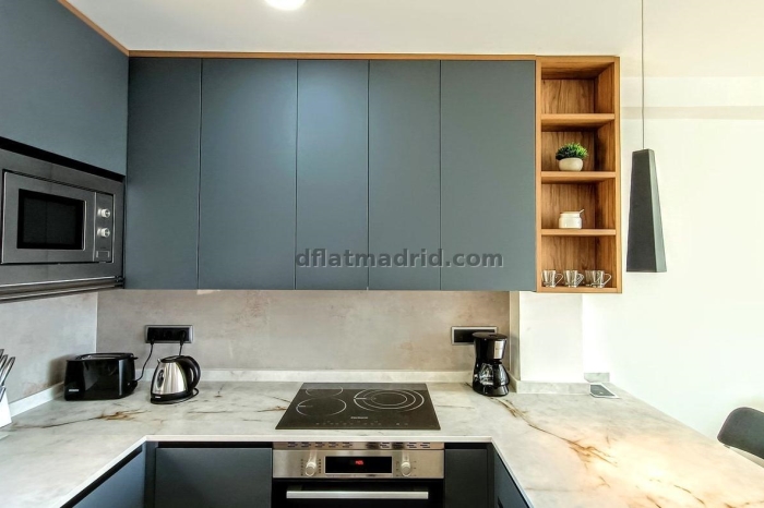 Penthouse in Chamartin of 1 Bedroom #1879 in Madrid